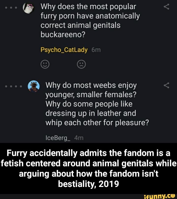 720px x 809px - Ã“' Why does the most popular furry porn have anatomically ...
