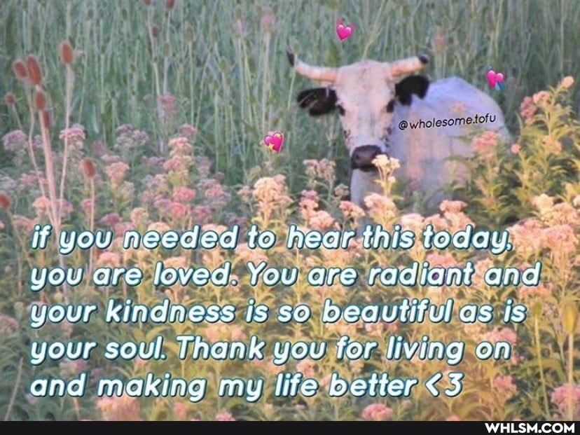 if you needed to hear this today.
you are loved. You are radiant and your kindness is so beautiful as is your soul Thank you for living on and making my life better