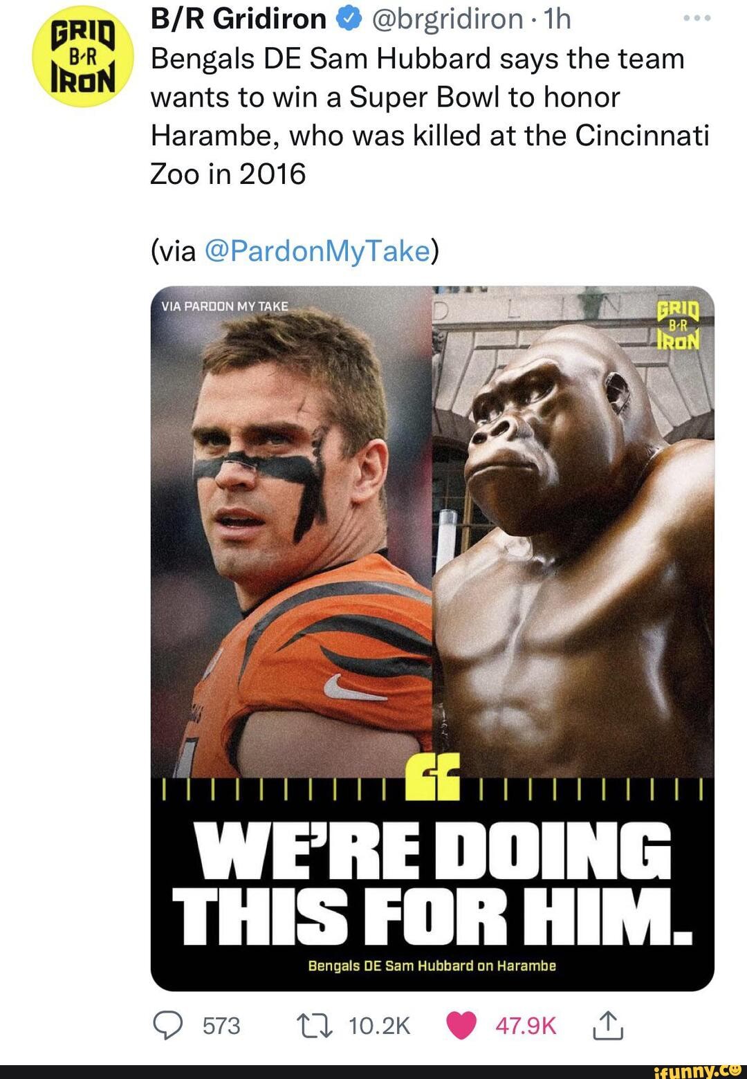 Sam Hubbard said he Bengals' Super Bowl run is in honor of Harambe That's  our guy, that's our hero. We're doing this for him. SAM HUBBARD ON  BLARAMTBIE VIA PARDON MY TAKE PODCAST The Sporting News - iFunny Brazil