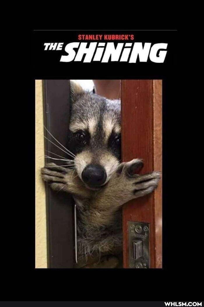 STANLEY KUBRICK'S
SHINING