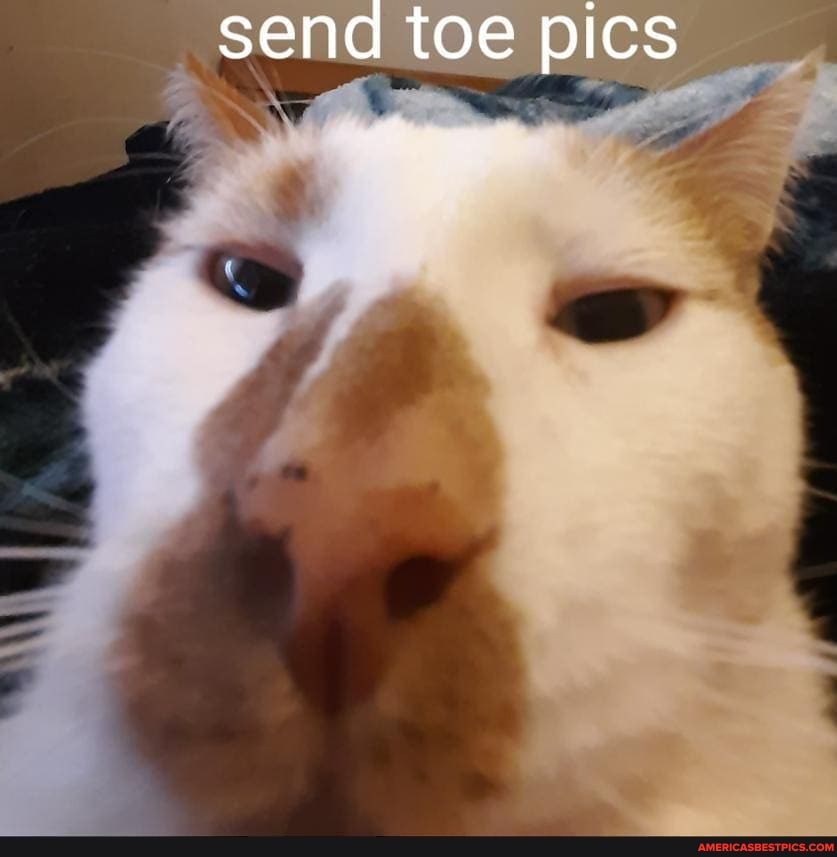 Send Toe Pics Meme