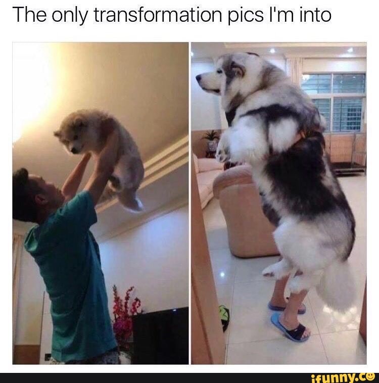 The only transformation pics I'm into