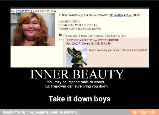 INNER BEAUTY
You may be impenetrable to words,
but firepower can sure bring you down.
Take it down boys - Take it down boys