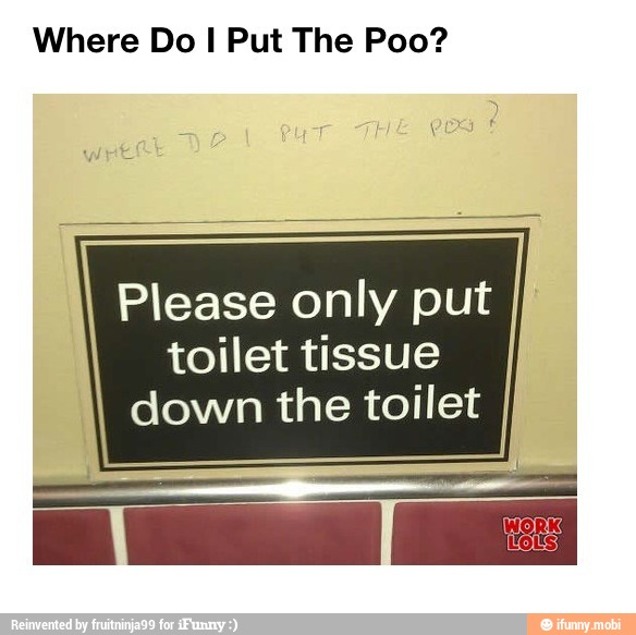 Where Do I Put The Poo? Please only put toilet tissue down the toilet )