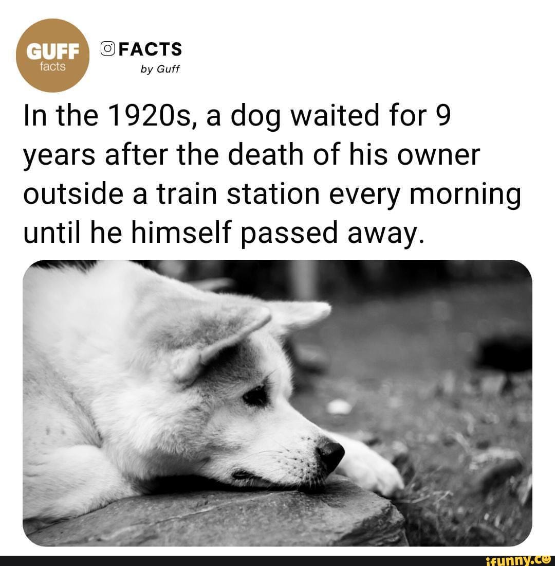 FACTS by Guff In the 1920s, a dog waited for