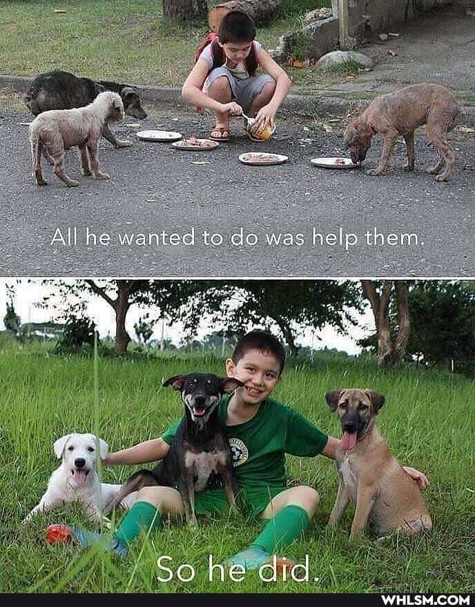 Ca ha did.