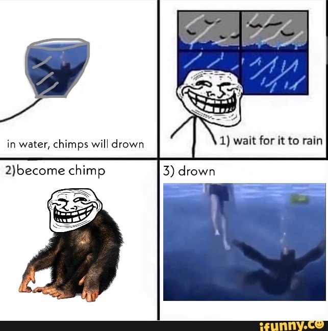 In Water Chimps Will Drown Chimp Ifunny