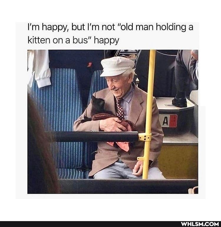 I'm happy, but I'm not "old man holding a kitten on a bus" happy