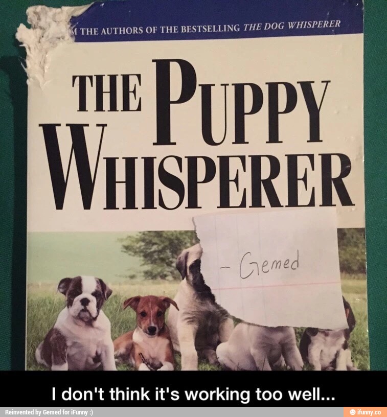 I don't think it's working too well...
