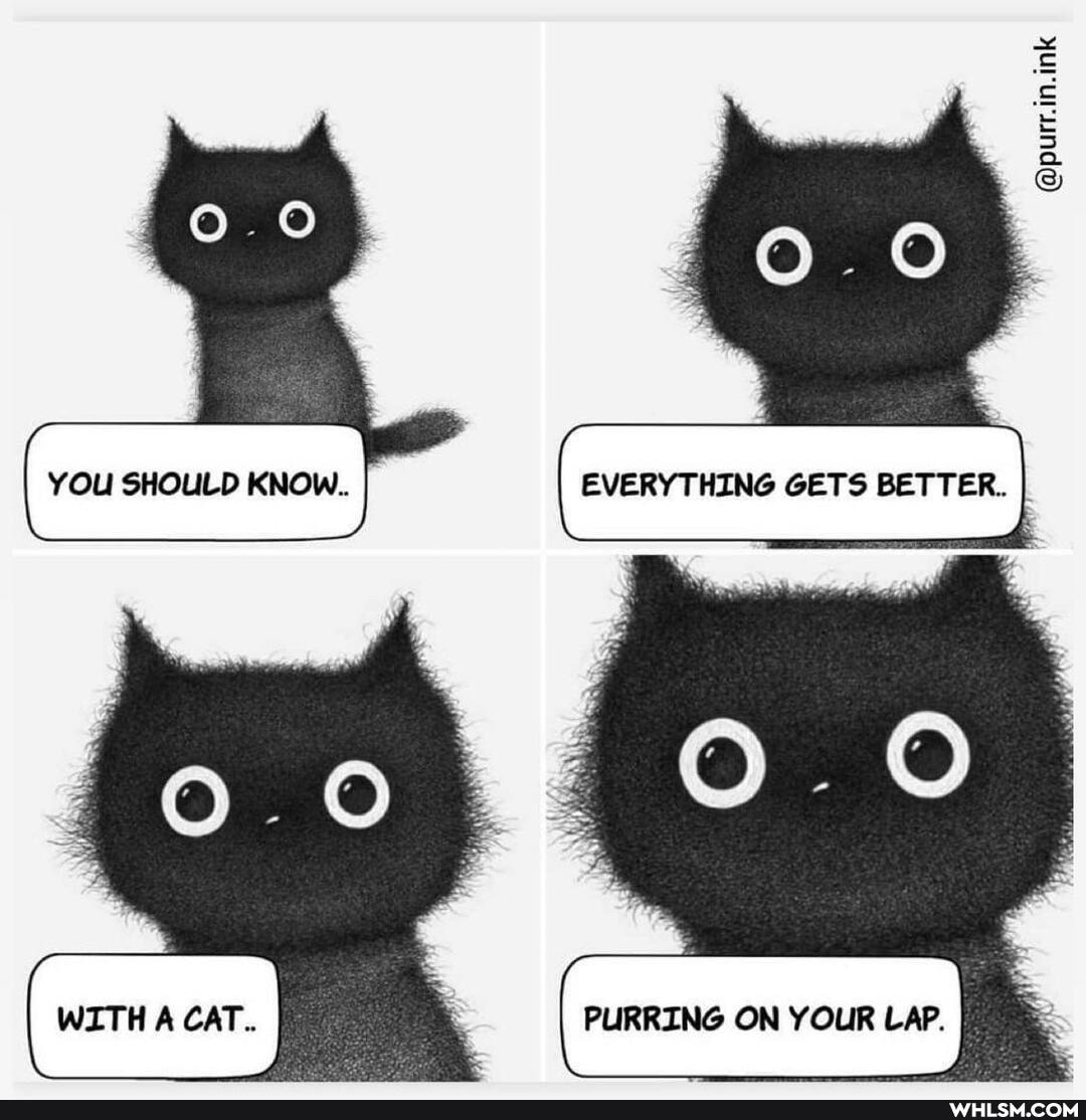 @purr.in.ink
YOU SHOULD KNOw.. EVERYTHING GETS BETTER.
WITH A CAT.. PURRING ON YOUR LAP.