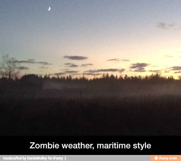 Zombie weather, maritime style - Zombie weather, maritime style