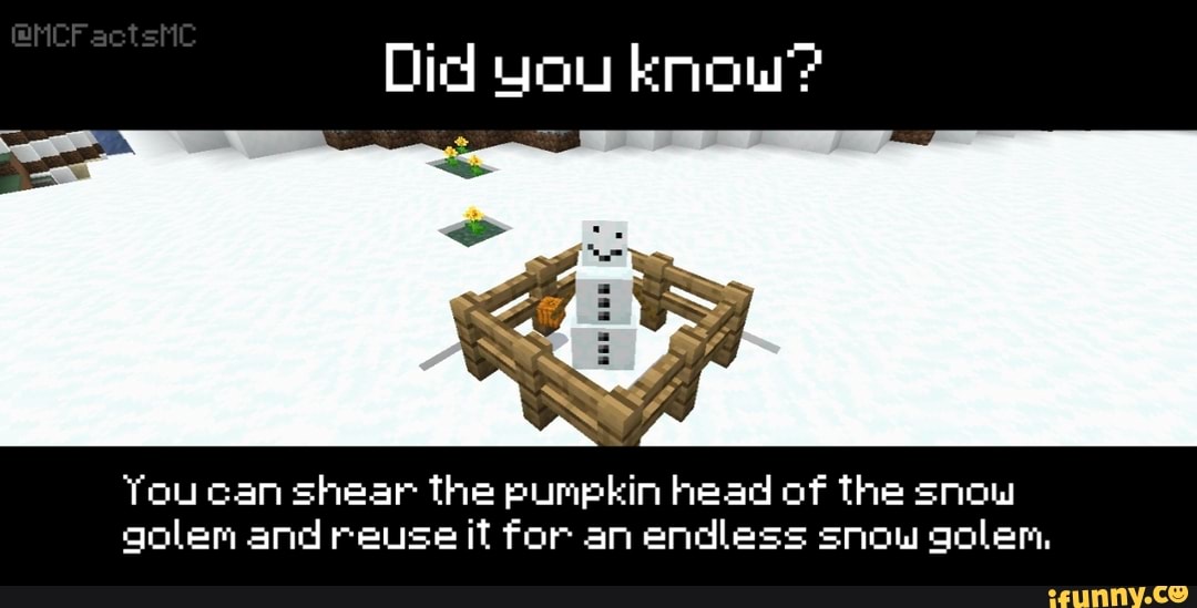 Did you know'? You can shear the pumpkin head of the snow golem and