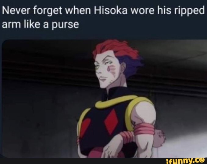 Never forget when Hisoka wore his ripped arm like a purse - iFunny