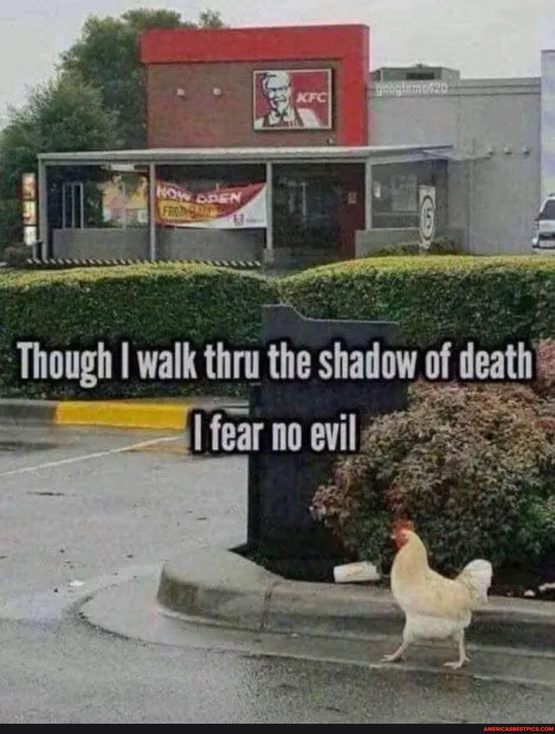 Though I walk thru the shadow of death
fear