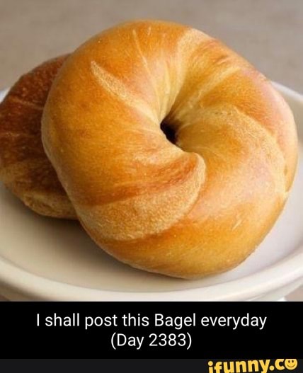 Shall Post This Bagel Everyday Day 23