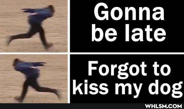 Gonna be late
Forgot to kiss my dog