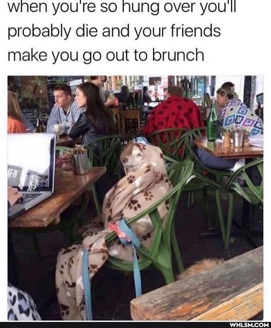 wnen ure so nung over you ll probably die and your friends make you go out to brunch
AN