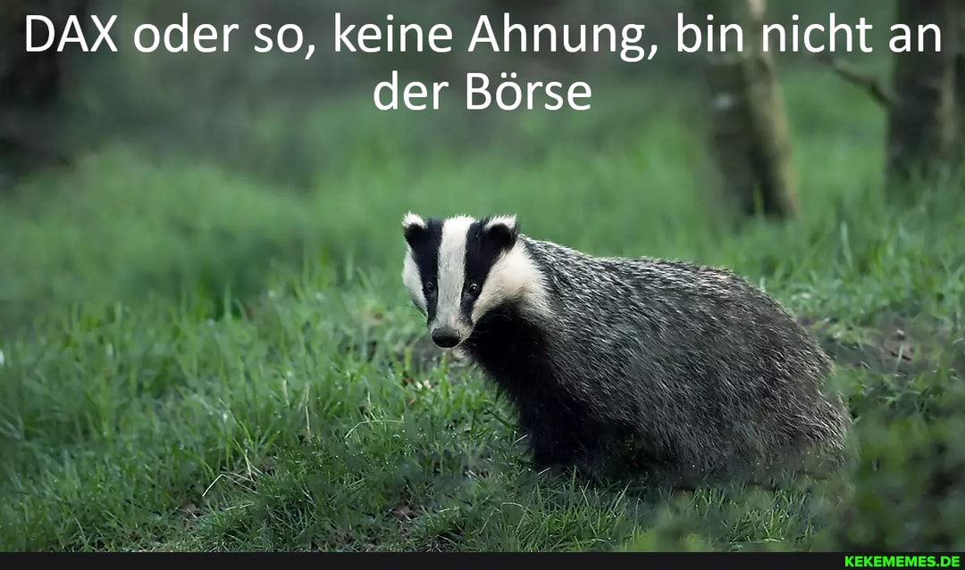 DAX oder so, keine Ahnung, bin nicht an der Börse