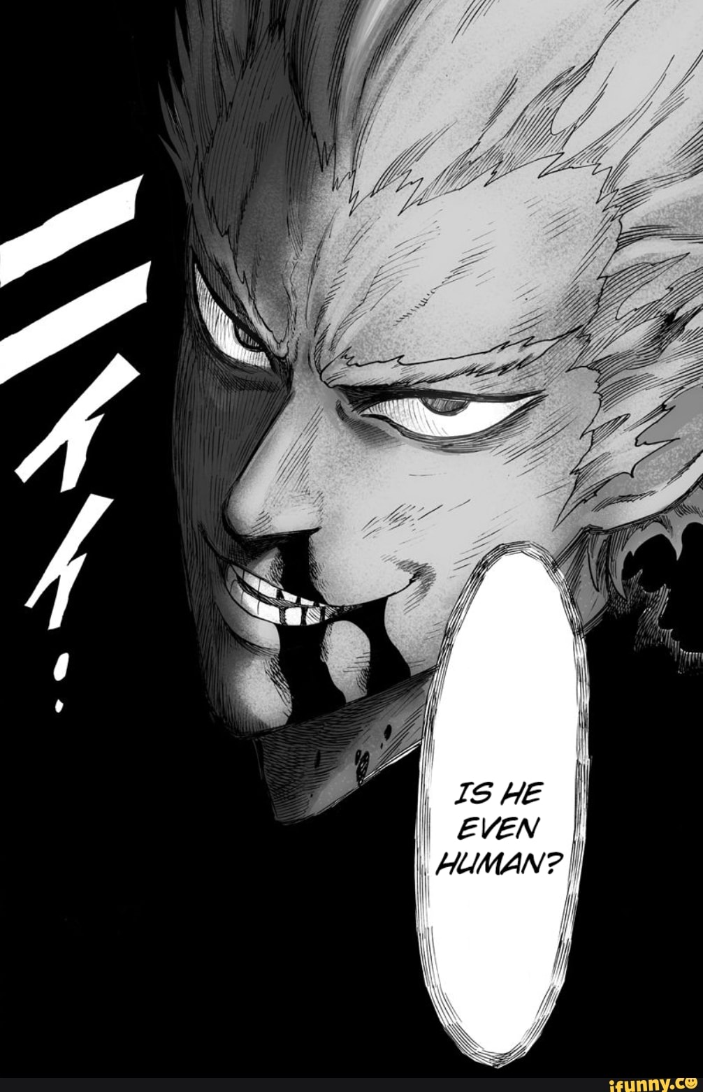 <b>onepunchman</b>.