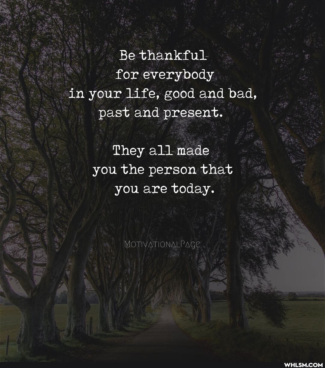 Be thankful for everybody in your life, good and bad, past and present.
They all made you the person that you are today.