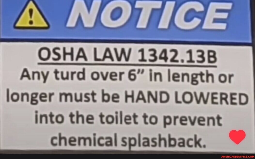 NOTICE OSHA LAW 1342.138 Any turd over 6" in length or longer must be HAND LOWERED into the