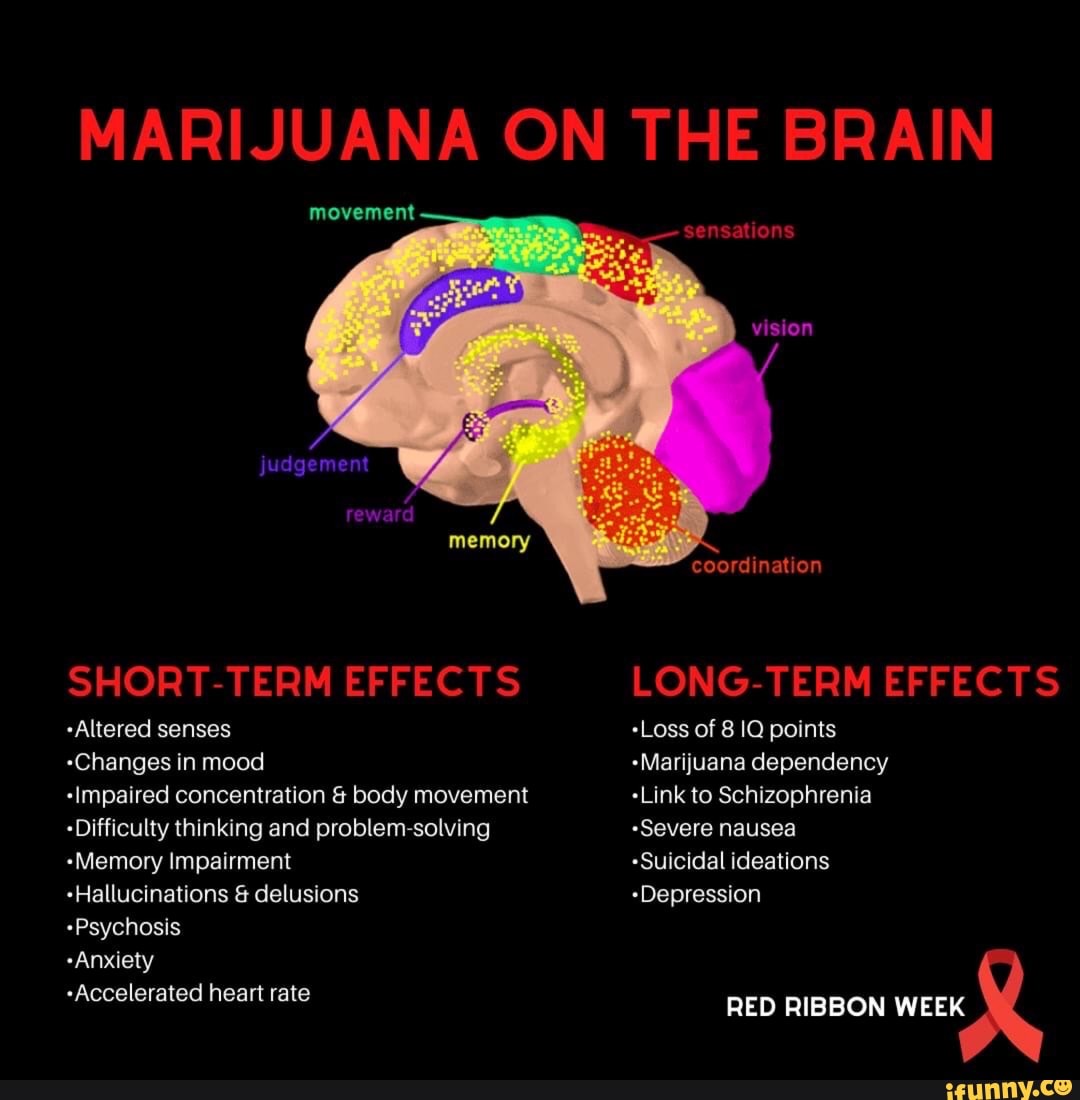 marijuana-on-the-brain-movement-short-term-effects-altered-senses