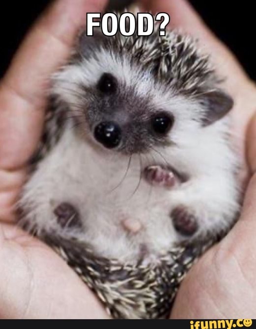 Awesome! :)