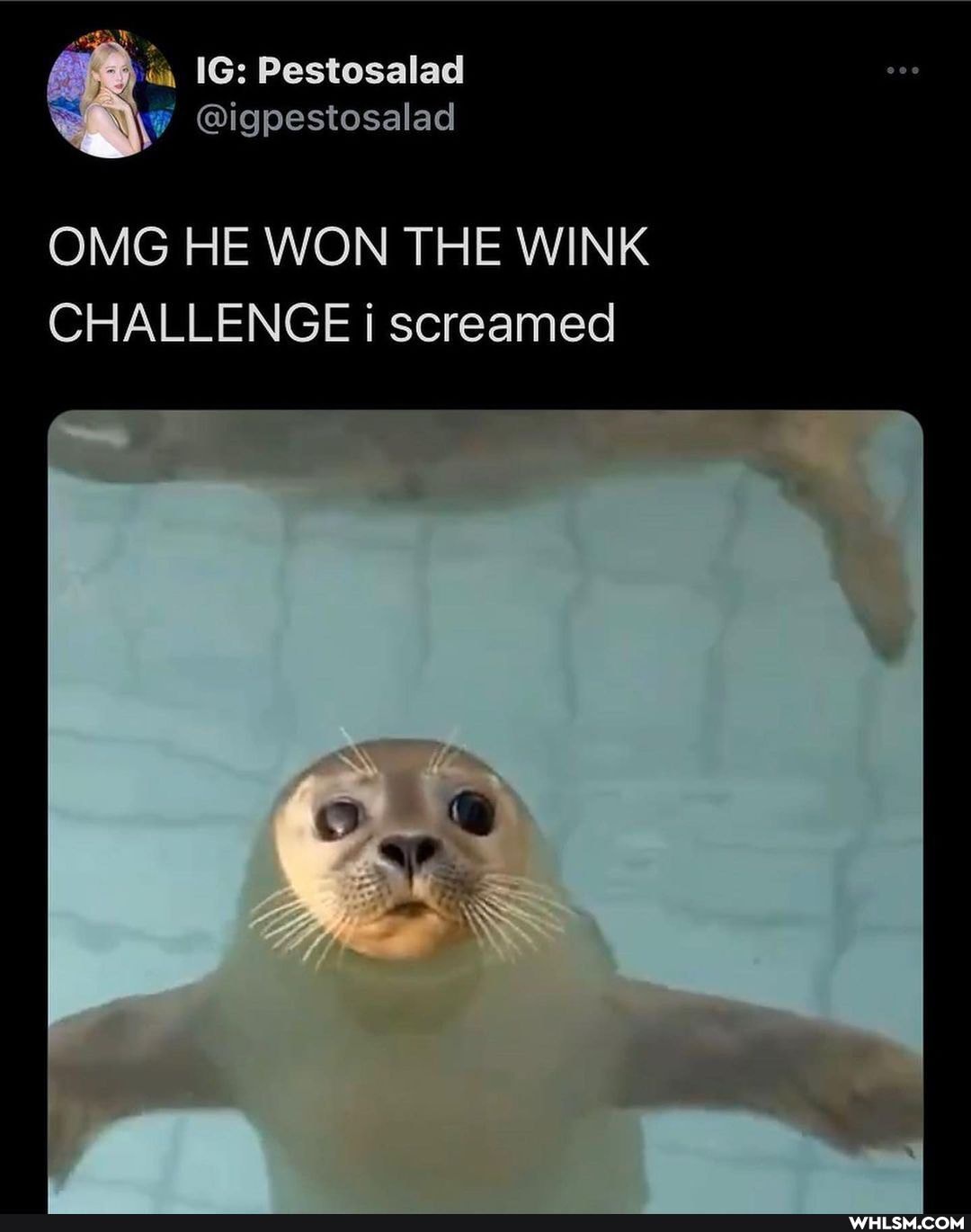 ia IG: Pestosalad
@igpestosalad
OMG HE WON THE WINK CHALLENGE screamed