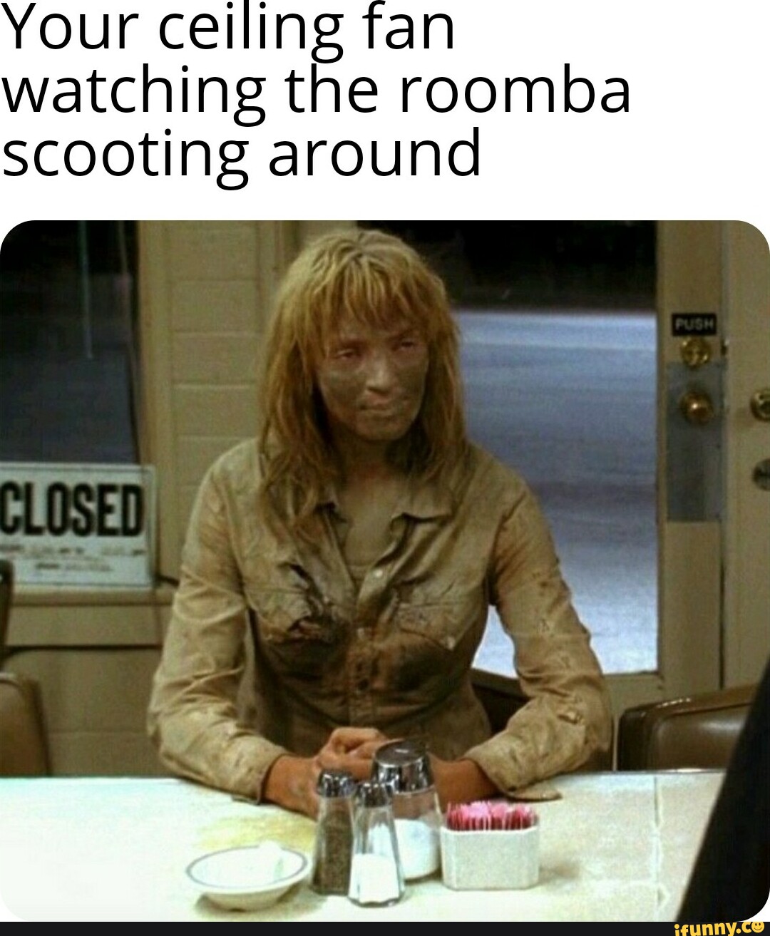 Your ceiling fan watching the roomba scooting around - iFunny