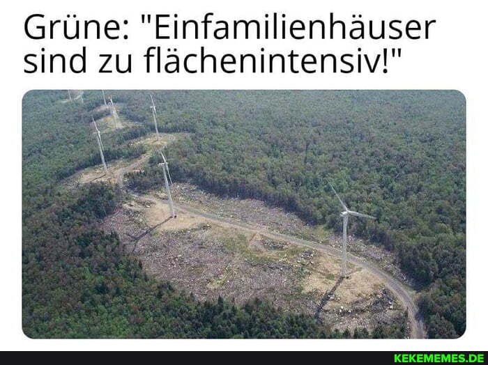 Grüne: "Einfamilienhäuser sind zu flächenintensiv!"