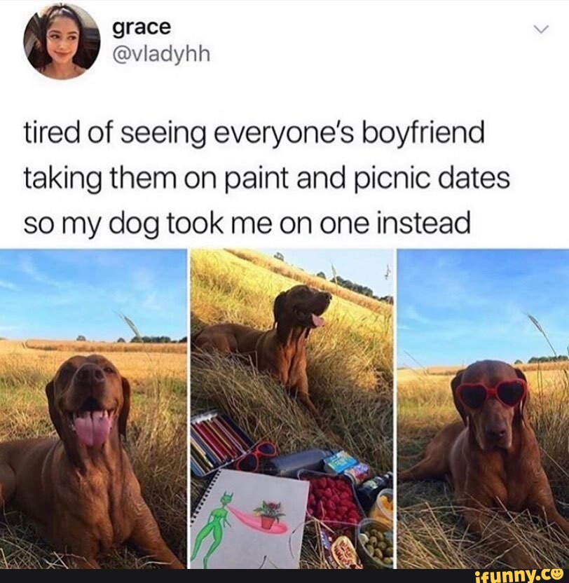 tired of seeing everyone's boyfriend taking them on paint and picnic dates so my dog took me on one instead