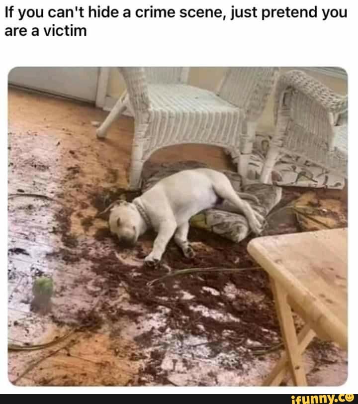 If you can't hide a crime scene, just pretend you are a victim