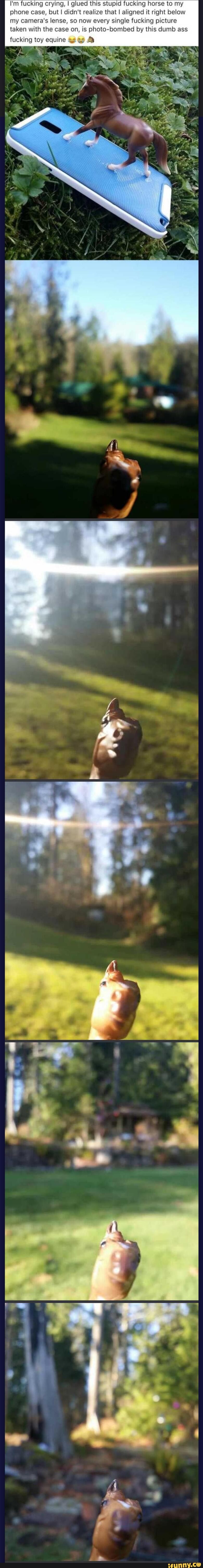 I m fucking crying I glued this stupid fuckmg horse to my phone