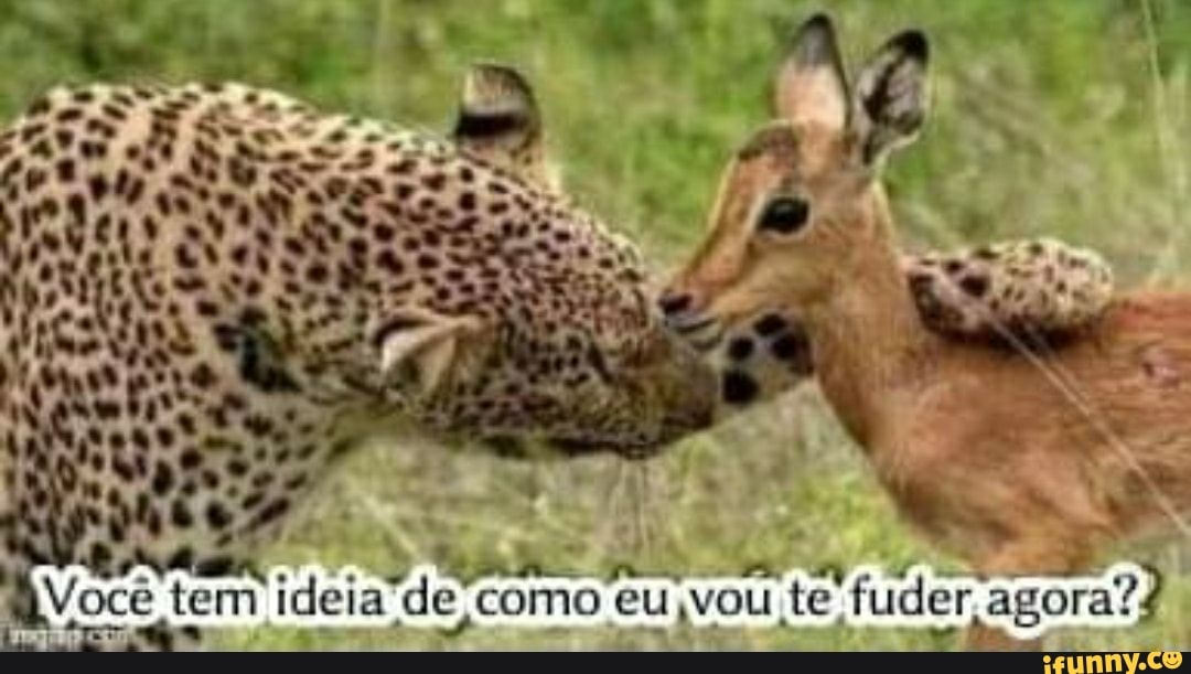 Você tem ideia de como eu ,vou te fuder
