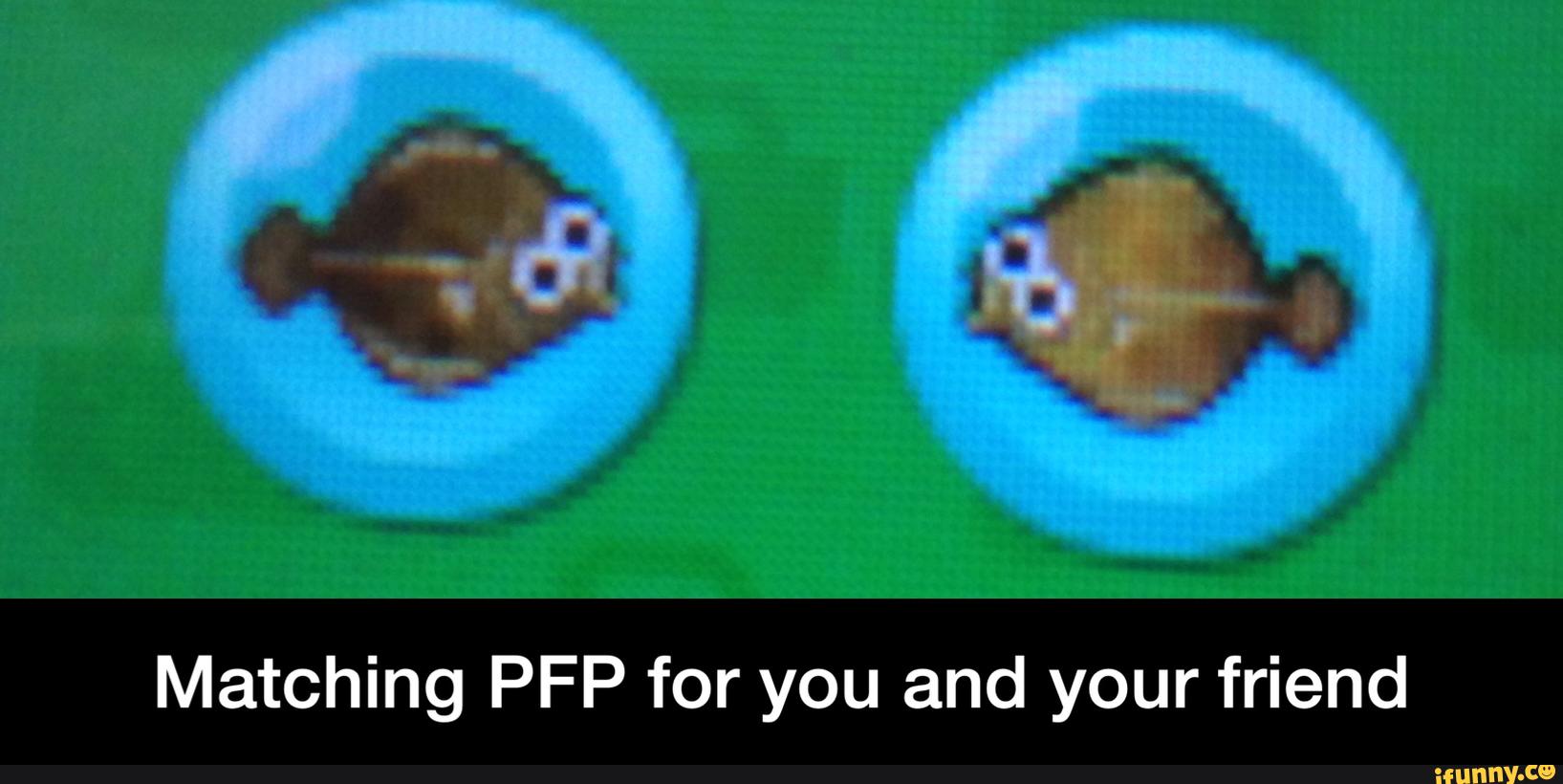 Featured image of post Matching Pfp For Friends Kiwi s matching gif pfp images from the web