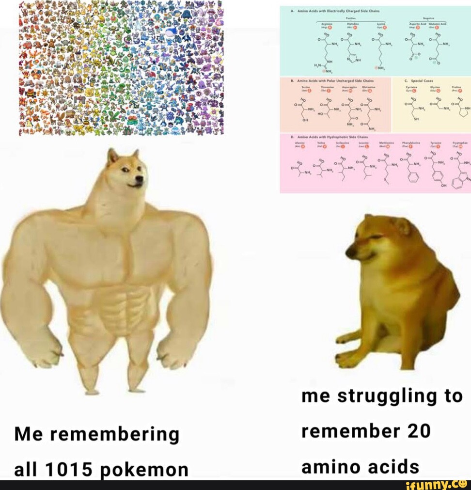 Me struggling to Me remembering remember 20 all 1015 pokemon amino ...