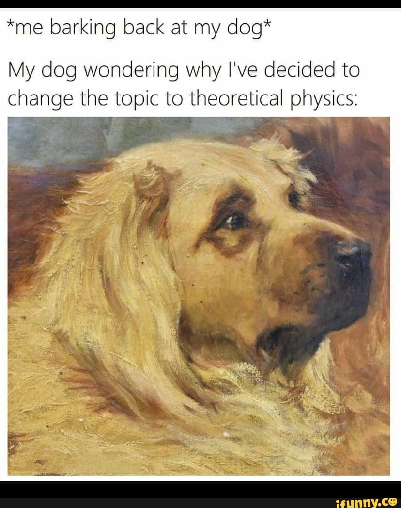 *me barking back at my dog*
My dog wondering why I've decided to change the topic to theoretical physics: