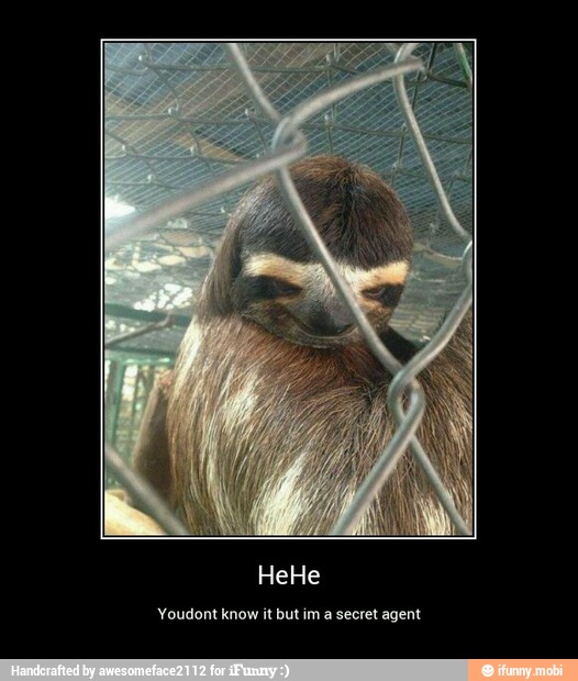 Youdont know it but im a secret agent - HeHe
Youdont know it but im a secret agent