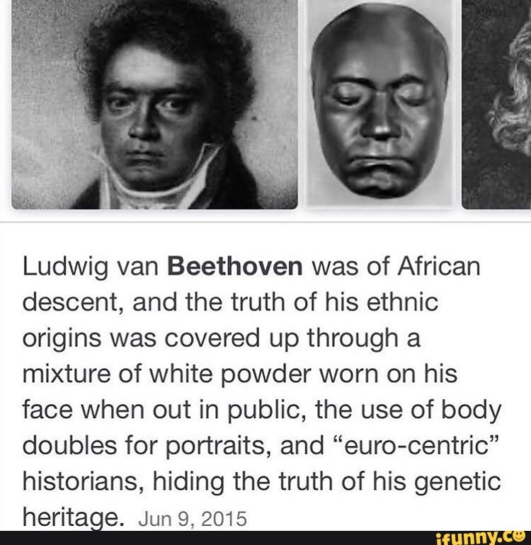 Ludwig van Beethoven was of African descent, and the truth of his ...