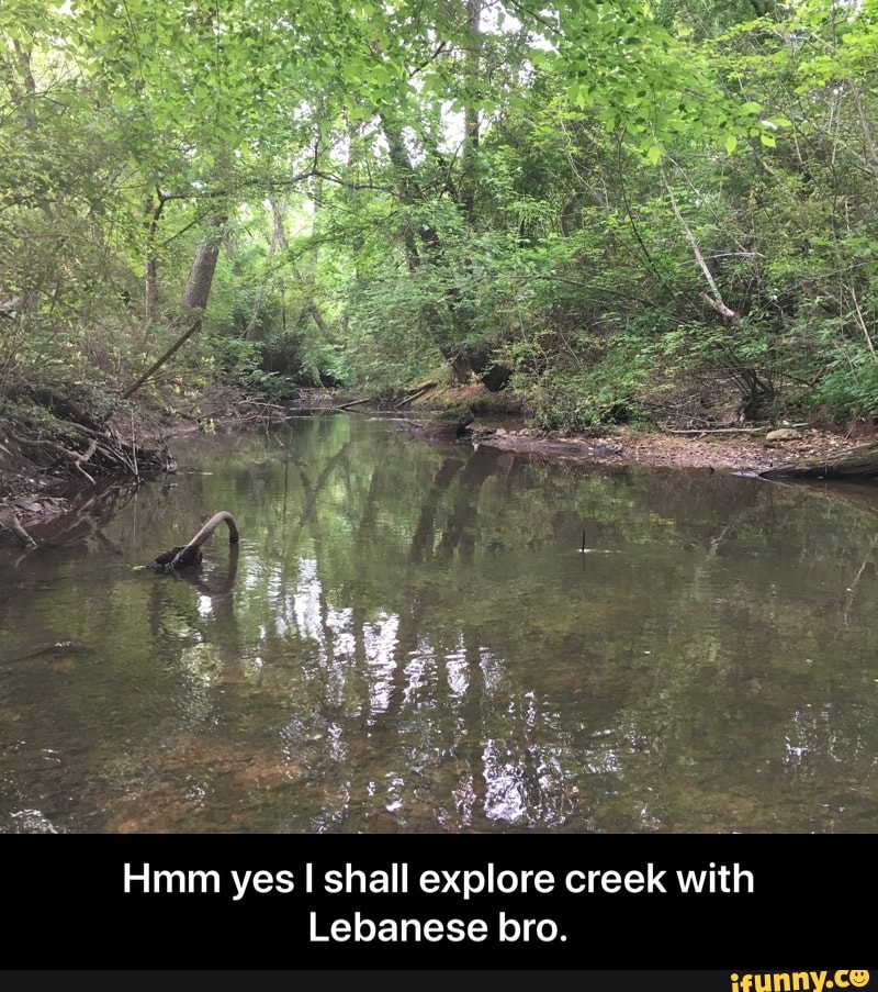 Hmm yes I shall explore creek with
Lebanese bro. - Hmm yes I shall explore creek with Lebanese bro.