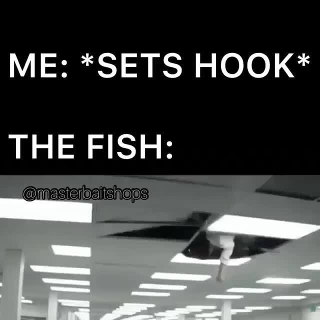 ME: *SETS HOOK* THE FISH: - iFunny