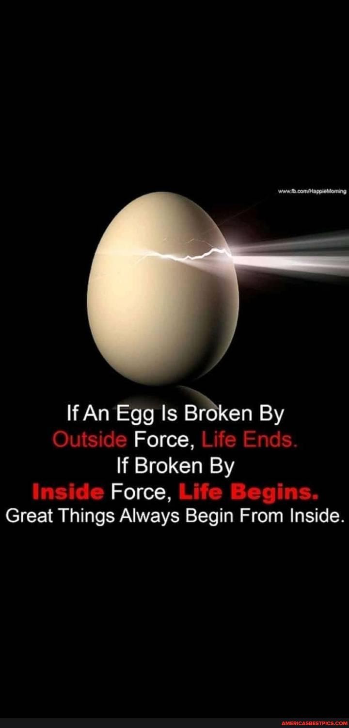 If An Egg Is Broken By
Outside Force, Life Ends.
If Broken By
Inside Force, Life Begins.
Great Things Always Begin From Inside.