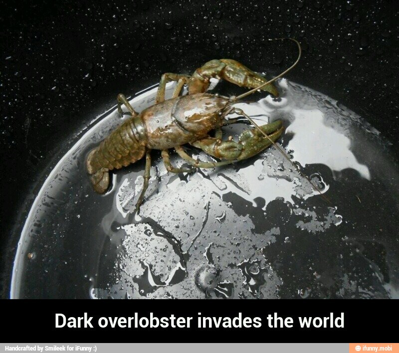 Dark overlobster invades the world - Dark overlobster invades the world