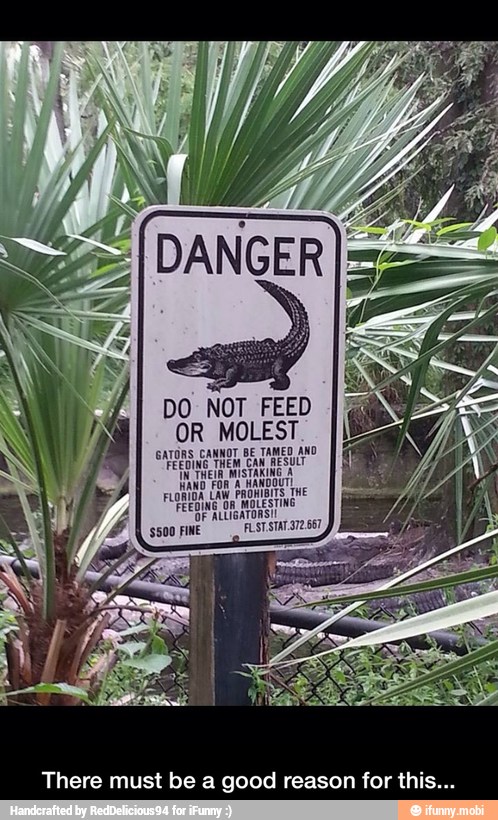 DO NOT FEED
OR MOLEST
GATORS CANNOT BE TAMED AND
FEEDING THEM CAN RESULT
IN THEIR MISTAKING A
'OF ALUIGATORSI!
There must be a good reason for this... - There must be a good reason for this...