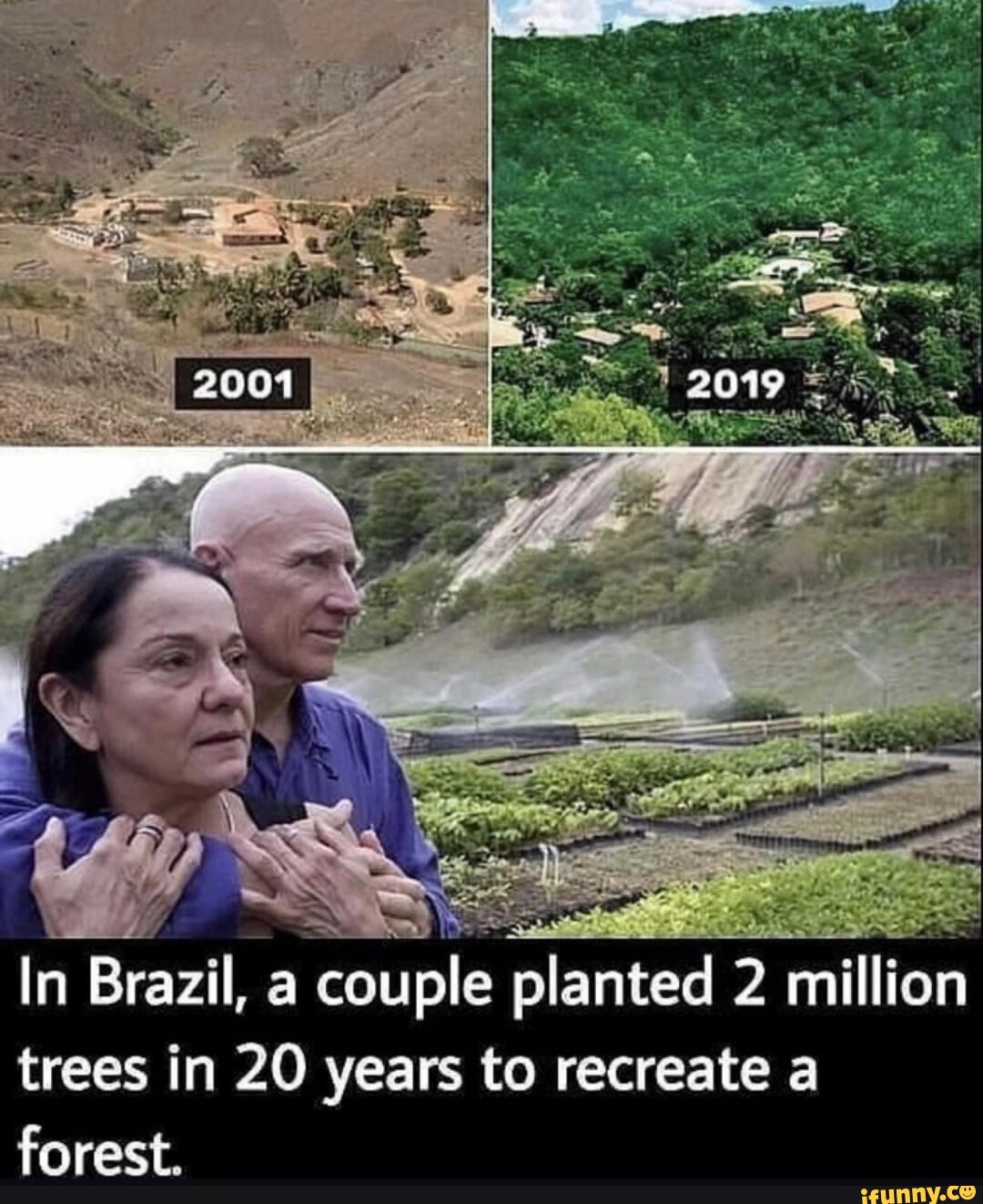 2001 In Brazil, A Couple Planted Million Trees In 20 Years To Recreate ...