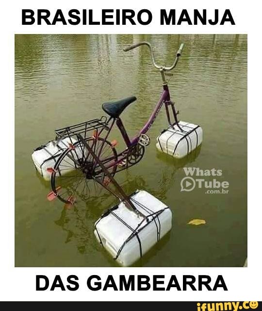 BRASILEIRO MANJA
DAS GAMBEARRA