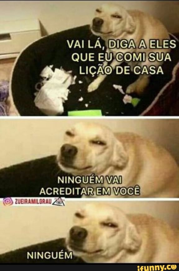 VAI LÁ, DIGA ATELES
EUJCOMI
LIÇÃO'DE'CASA