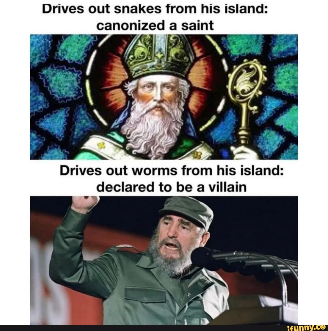 Drives Out Snakes From His Island: Canonized A Saint Drives Out Worms ...