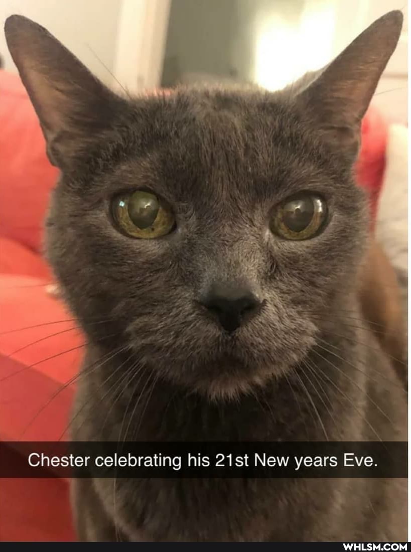 Chester celebrating his 21st New years Eve.