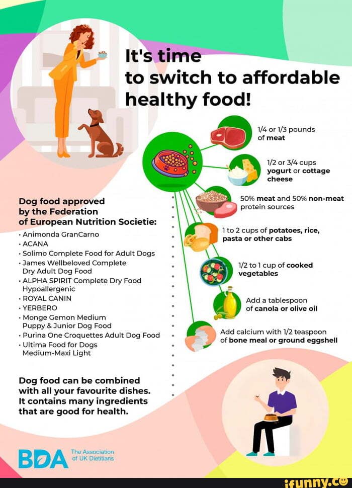 to-switch-to-affordable-healthy-food-dog-food-approved-by-the